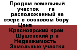 Продам земельный участок 3.1 га. расположенный на озере в сосновом бору. › Цена ­ 1 600 000 - Красноярский край, Шушенский р-н Недвижимость » Земельные участки продажа   . Красноярский край